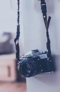 数据底座，企业数字化转型的数字基因与价值引擎，数据底座概念股票