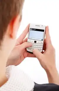 智能通信压力评估系统，新一代短信测试平台的功能解析与行业实践，短信压力测试app最新破解版