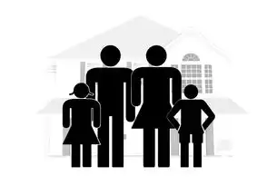 深耕本地生态圈，安徽SEO优化专家如何助力企业实现区域流量突围，安徽seo团队