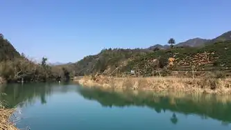 数字赋能下的黄山新范式，智慧景区与生态文明的双向奔赴，黄山网站有哪些
