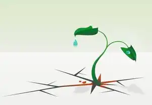 绿萝，都市生活的全能型空气净化师与空间美学重构者，绿萝的关键词是什么