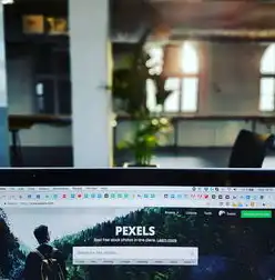 HTML5网站开发与源码编辑全流程解析，从零到一构建现代网页应用，html5网页制作源码大全