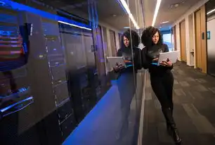 IBM云服务器免费租用全攻略，限时福利与实战指南，ibm免费云服务器租用多少钱