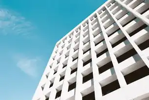 数字基建的黄金通行证，全球数字时代的服务商准入权重构与战略价值，数字基础设施体系