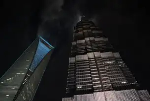 智联未来，上海企业云服务平台构建长三角数字生态新范式，上海企业云服务平台登录入口
