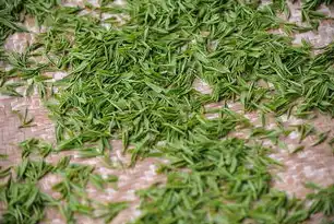 千年茶韵与当代生活，解码世界茶文化的科学密码与人文美学，茶叶的网站有那些