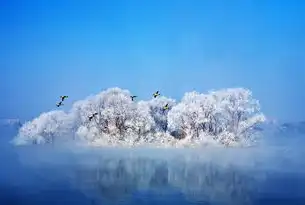 数据湖仓一体化与雪翁仓，架构演进下的双生路径解析，数据湖仓一体化和雪翁仓的区别是什么意思