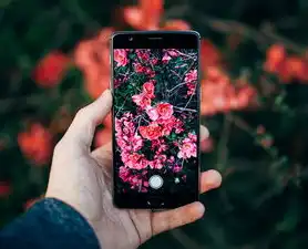 手机存储权限如何开启？Android与iOS全系统操作指南及权限管理秘籍，手机存储权限在哪里打开oppo