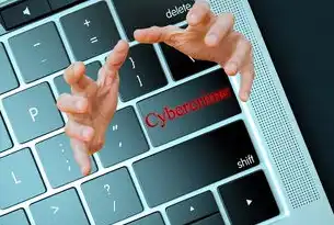 应用安全报告数据清理全流程指南，从合规操作到技术实现，应用安全报告怎么删除记录信息呢图片