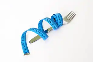 吞吐量，数字时代的流量密码与性能优化指南，吞吐量指的是什么意思