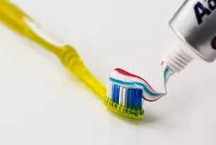 SEO实战指南，内链优化与外链建设的策略选择与科学配比，关键词是做内链还是外链的
