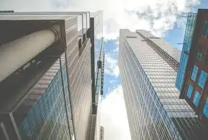 上云赋能，数字化转型浪潮中政府引导企业上云的战略逻辑与价值重构，政府为什么要企业上云服务平台
