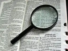 版本控制实战指南，从基础到高阶的协作开发全解析，版本控制用什么软件?该软件有哪些功能?