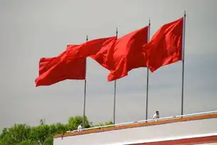 2021年中国港口年终盘点，12月吞吐量排名揭示区域经济新格局，中国 港口 吞吐量 排名