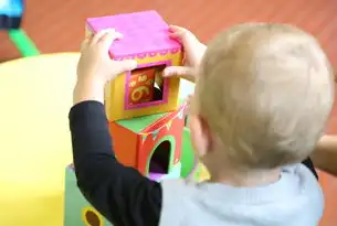 幼儿早教网站源码开发指南，打造寓教于乐的数字化学习平台，幼儿早教网站源码大全