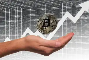 智能时代的企业基座，深度解析网上虚拟服务器租用的核心价值与创新实践，网上虚拟服务器租用什么意思