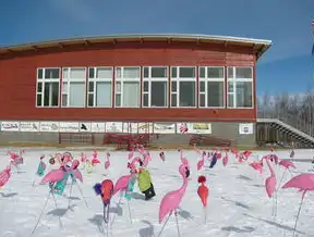 平地社区行政服务中心全攻略，地理位置解析与便民服务指南，平地社区行政服务中心在哪里啊