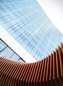 香港高防服务器选购全攻略，从技术指标到商业价值的深度解析，香港高防ip