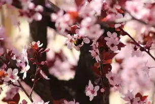 花卉网站源码开发全解析，从技术架构到功能模块的深度拆解（附实战案例与优化策略）花卉网站模板