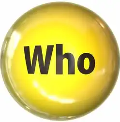 SEO标签优化全攻略，如何通过精准标签提升谷歌百度搜索排名？5大核心步骤+实战案例解析，seo 标签