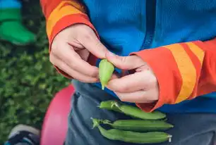 左卵巢内混合结构，生殖系统疾病的影像学特征与临床诊疗新视角，左卵巢内混合结构是什么意思啊