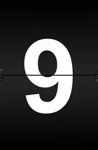 珠海SEO公司助力品牌登顶9火星，数字营销战略与流量跃迁全解析，珠海火星教育培训怎么样