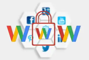权威解析，www网站的技术架构与行业价值—从流量运营到生态构建的深度解读，顺产分娩www网站