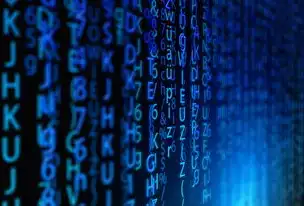 Flash网站源码全解析，从技术架构到设计要点，flash源码免费下载