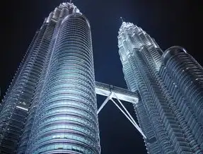 东南亚数字动脉，马来西亚服务器的战略价值与全场景应用图谱，马来西亚服务器租用