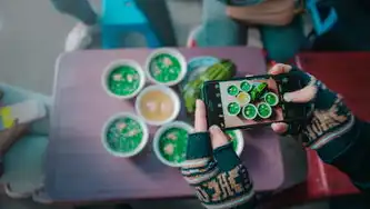 手机端关键词优化全攻略，从算法洞察到实战技巧的深度解析，手机关键词首页软件