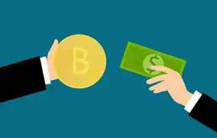 金融投资网站源码开发全解析，从架构设计到安全防护的实战指南（2023版）金融投资网站源码有哪些