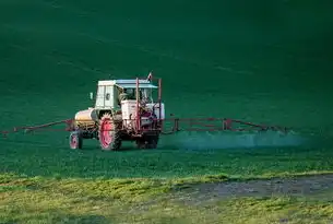 农业废弃物资源化利用率突破65%循环经济赋能乡村振兴的实践路径，农业废弃物资源化利用率达到什么水平