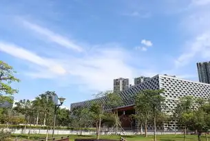 深圳网站公司，数字时代的品牌突围指南与全案服务解析，深圳网站公司排名