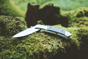 智能时代的新工具革命，深度解析自动化折叠刀的技术突破与应用前景，折叠刀自锁装置
