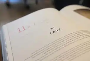 Throughput:解码现代技术系统的效率密码与全球应用实践，吞吐量英文翻译