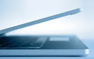 VPS虚拟服务器，企业数字化转型的核心基础设施与实战指南，vps虚拟服务器哪里买