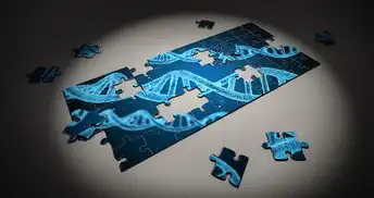 数据库事务故障恢复，从经典机制到智能时代的韧性进化，试述事务故障的恢复