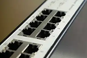 10元服务器IDC对接实战全解析，低成本高性价比的云服务器部署与运营指南，idc服务器价格